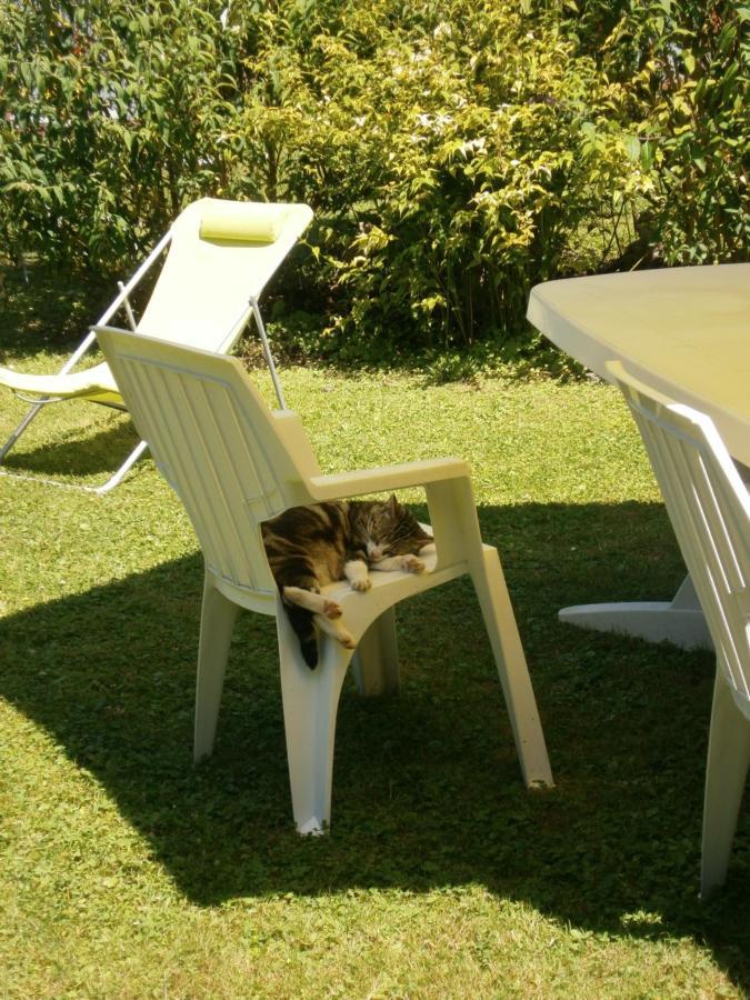 Bed and Breakfast Aux Sources De L'Ancre Miraumont Exterior foto